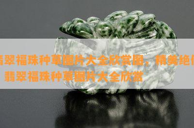 翡翠福珠种草图片大全欣赏图，精美绝伦！翡翠福珠种草图片大全欣赏