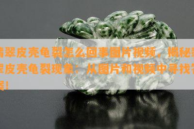 翡翠皮壳龟裂怎么回事图片视频，揭秘翡翠皮壳龟裂现象：从图片和视频中寻找答案！