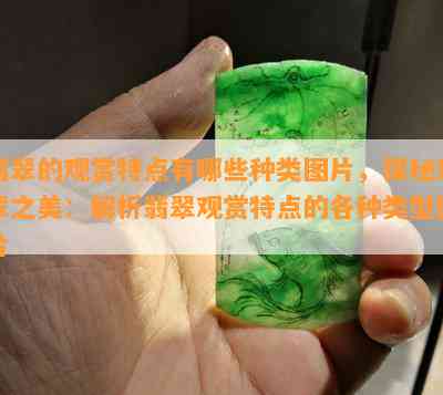 翡翠的观赏特点有哪些种类图片，探秘翡翠之美：解析翡翠观赏特点的各种类型图片