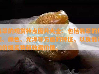 翡翠的观赏特点图片大全：包括翡翠的形态、颜色、光泽等方面的特征，以及翡翠的价格走势和收藏价值。