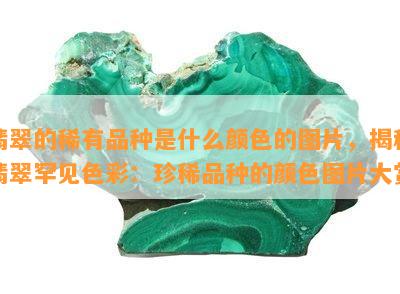 翡翠的稀有品种是什么颜色的图片，揭秘翡翠罕见色彩：珍稀品种的颜色图片大赏