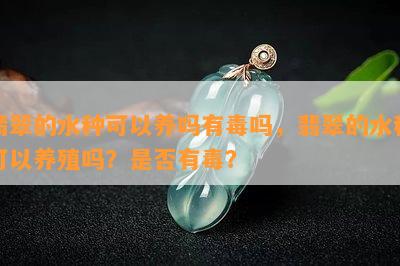 翡翠的水种可以养吗有吗，翡翠的水种可以养殖吗？是否有？