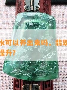 翡翠的种水可以养出来吗，翡翠种水能否通过养护提升？