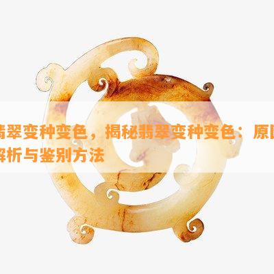 翡翠变种变色，揭秘翡翠变种变色：原因解析与鉴别方法