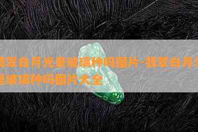 翡翠白月光是玻璃种吗图片-翡翠白月光是玻璃种吗图片大全