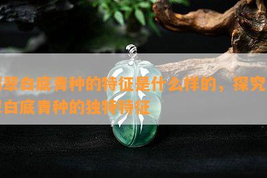 翡翠白底青种的特征是什么样的，探究翡翠白底青种的独特特征