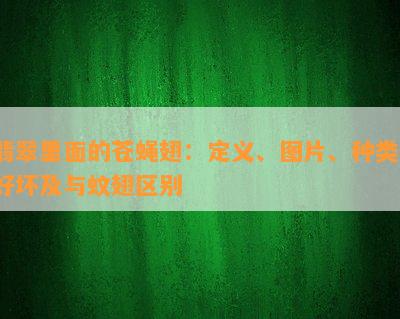 翡翠里面的苍蝇翅：定义、图片、种类、好坏及与蚊翅区别