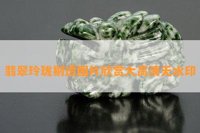 翡翠玲珑剔透图片欣赏大高清无水印