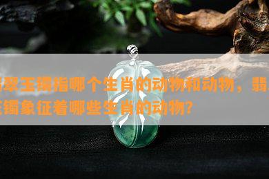 翡翠玉镯指哪个生肖的动物和动物，翡翠玉镯象征着哪些生肖的动物？