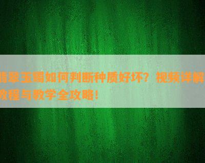 翡翠玉镯如何判断种质好坏？视频详解、教程与教学全攻略！