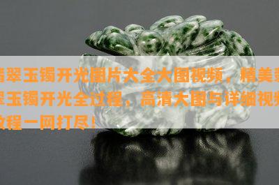 翡翠玉镯开光图片大全大图视频，精美翡翠玉镯开光全过程，高清大图与详细视频教程一网打尽！