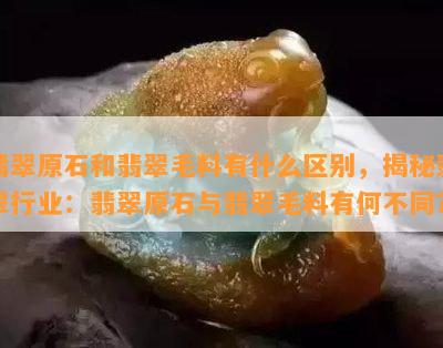 翡翠原石和翡翠毛料有什么区别，揭秘翡翠行业：翡翠原石与翡翠毛料有何不同？