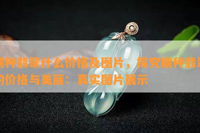 糯种翡翠什么价格及图片，探究糯种翡翠的价格与美丽：真实图片展示