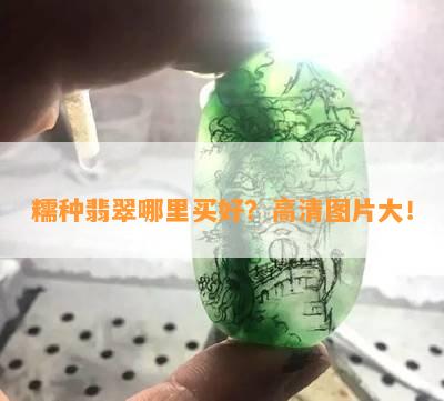 糯种翡翠哪里买好？高清图片大！