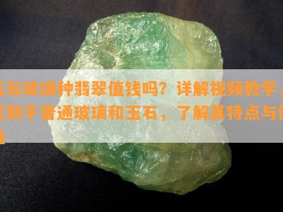 玉石玻璃种翡翠值钱吗？详解视频教学，区别于普通玻璃和玉石，了解其特点与价值