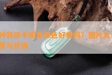 糯种翡翠手镯豆绿色好看吗？图片大全、欣赏与价格