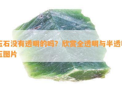 玉石没有透明的吗？欣赏全透明与半透明玉图片