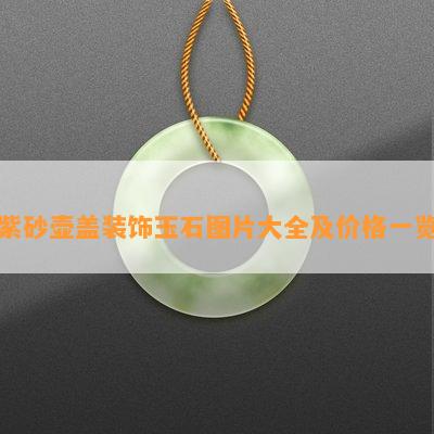 紫砂壶盖装饰玉石图片大全及价格一览