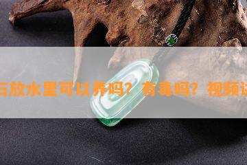 玉石放水里可以养吗？有吗？视频讲解