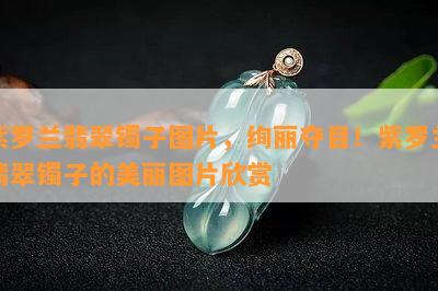 紫罗兰翡翠镯子图片，绚丽夺目！紫罗兰翡翠镯子的美丽图片欣赏