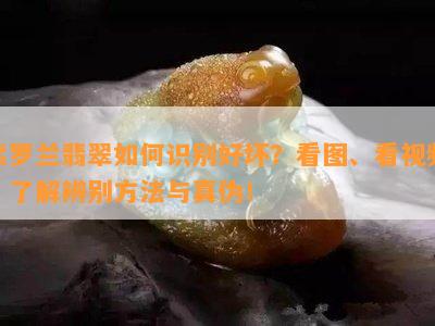 紫罗兰翡翠如何识别好坏？看图、看视频、了解辨别方法与真伪！