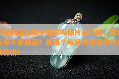 紫色的玉也属于翡翠吗图片及价格，紫色玉是不是翡翠？看图了解其真实身份和市场价格！