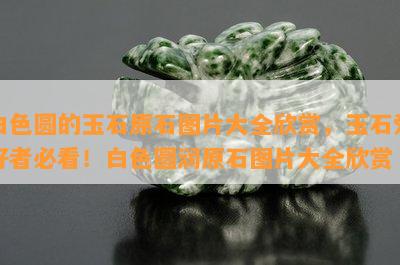 白色圆的玉石原石图片大全欣赏，玉石爱好者必看！白色圆润原石图片大全欣赏