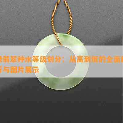 绿翡翠种水等级划分：从高到低的全面解析与图片展示