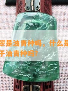 油绿色翡翠是油青种吗，什么是油绿色翡翠？它属于油青种吗？