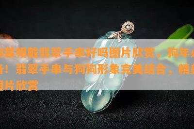 狗属相戴翡翠手串好吗图片欣赏，狗年必备！翡翠手串与狗狗形象完美结合，精美图片欣赏