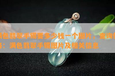 满色翡翠手镯要多少钱一个图片，查询价格：满色翡翠手镯图片及相关信息