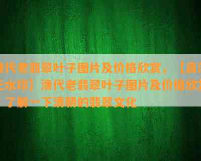 清代老翡翠叶子图片及价格欣赏，【高清无水印】清代老翡翠叶子图片及价格欣赏，了解一下清朝的翡翠文化