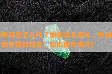 海丰翡翠怎么样了最新消息图片，揭秘海丰翡翠最新动态：独家图片曝光！