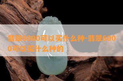 翡翠6000可以买什么种-翡翠6000可以买什么种的