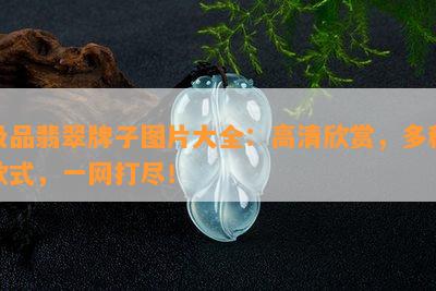 极品翡翠牌子图片大全：高清欣赏，多种款式，一网打尽！