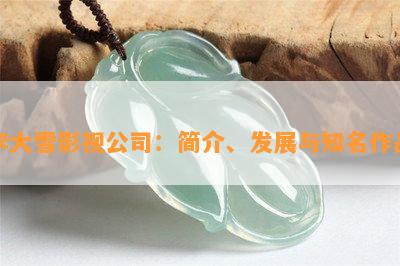 李大雪影视公司：简介、发展与知名作品