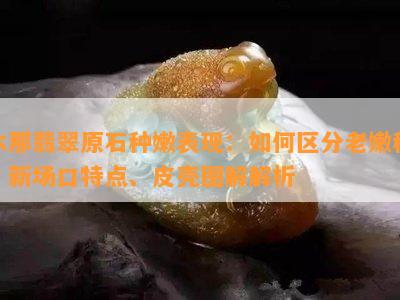 木那翡翠原石种嫩表现：如何区分老嫩种？新场口特点、皮壳图解解析