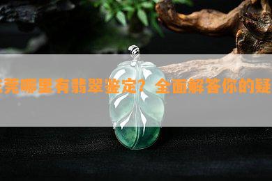 东莞哪里有翡翠鉴定？全面解答你的疑问！