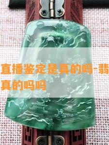 翡翠严品直播鉴定是真的吗-翡翠严品直播鉴定是真的吗吗