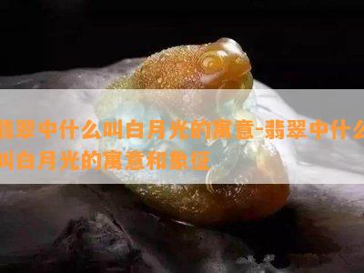 翡翠中什么叫白月光的寓意-翡翠中什么叫白月光的寓意和象征