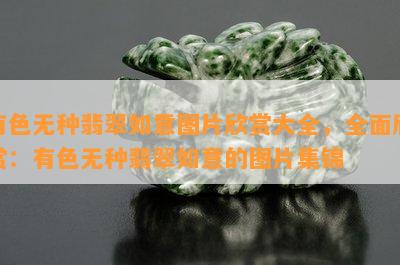 有色无种翡翠如意图片欣赏大全，全面欣赏：有色无种翡翠如意的图片集锦