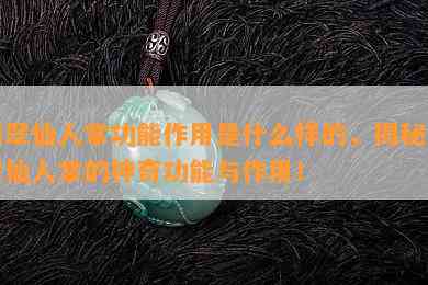 翡翠仙人掌功能作用是什么样的，揭秘翡翠仙人掌的神奇功能与作用！