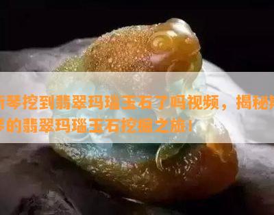 斯琴挖到翡翠玛瑙玉石了吗视频，揭秘斯琴的翡翠玛瑙玉石挖掘之旅！