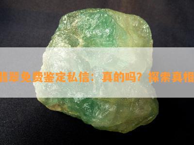 翡翠免费鉴定私信：真的吗？探索真相！