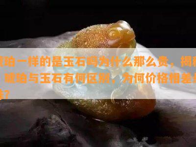 琥珀一样的是玉石吗为什么那么贵，揭秘：琥珀与玉石有何区别，为何价格相差悬殊？