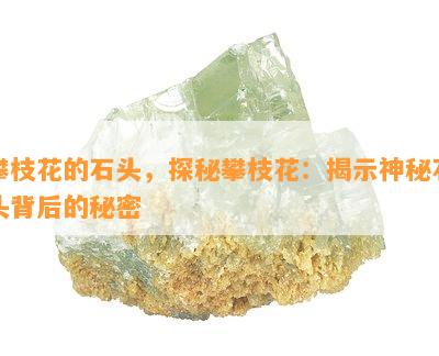 攀枝花的石头，探秘攀枝花：揭示神秘石头背后的秘密