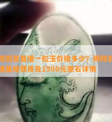 揭阳翡翠直播一粒玉价格多少？揭阳翡翠直播基地费用及1500元原石详情