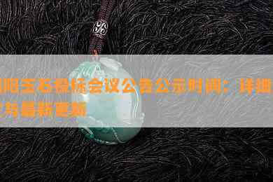 揭阳玉石投标会议公告公示时间：详细规定与最新更新