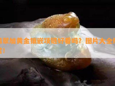 翡翠加黄金镶嵌项链好看吗？图片大全欣赏！