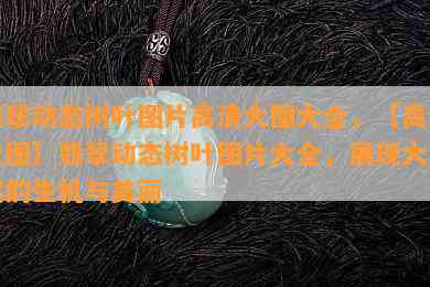 翡翠动态树叶图片高清大图大全，【高清大图】翡翠动态树叶图片大全，展现大自然的生机与美丽